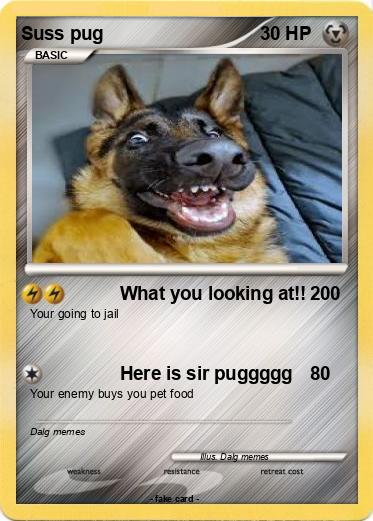 Pokemon Suss pug