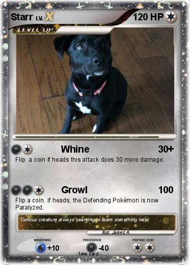 Pokemon Starr