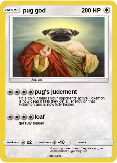 Pokemon pug god