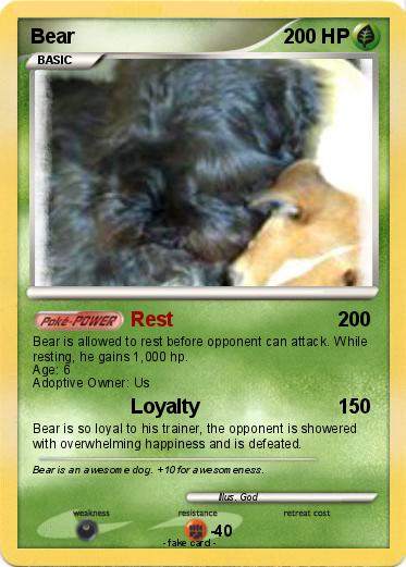 Pokemon Bear