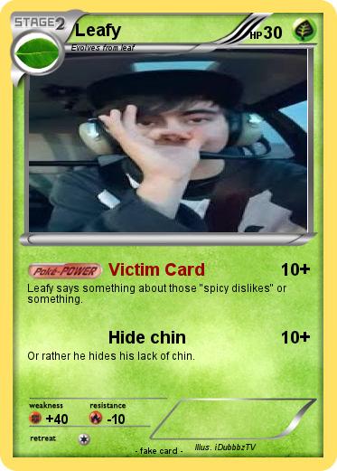 Pokemon Leafy