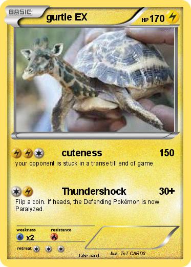 Pokemon gurtle EX