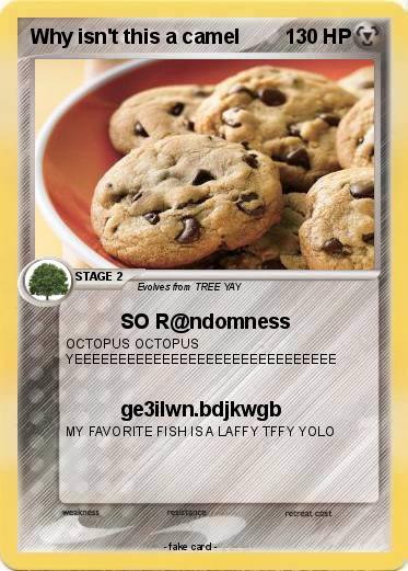 Pokemon Why isn't this a camel