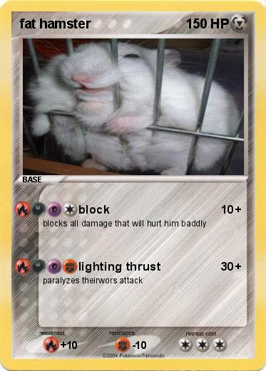 Pokemon fat hamster