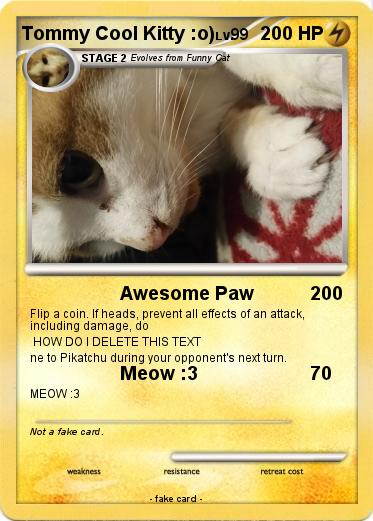 Pokemon Tommy Cool Kitty :o)