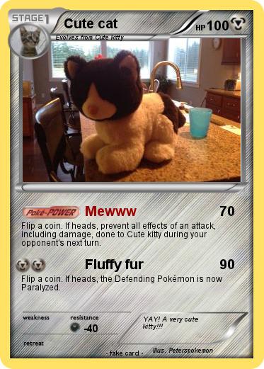 Pokemon Cute cat