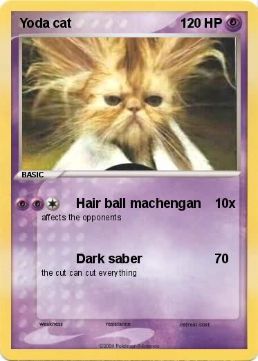 Pokemon Yoda cat