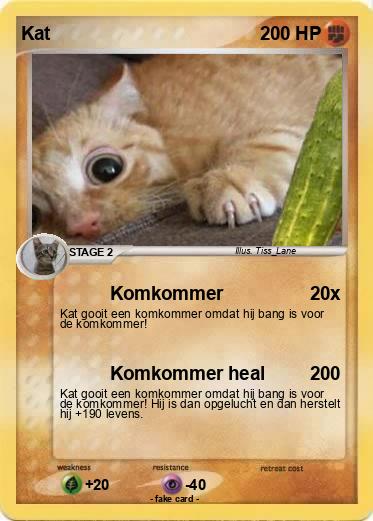 Pokemon Kat