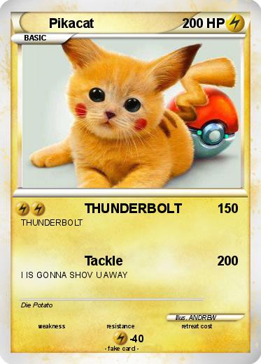 Pokemon Pikacat