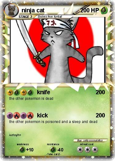 Pokemon ninja cat