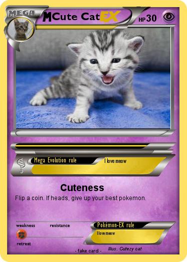 Pokemon Cute Cat