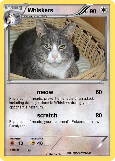 Pokemon Whiskers
