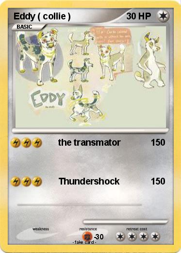 Pokemon Eddy ( collie )
