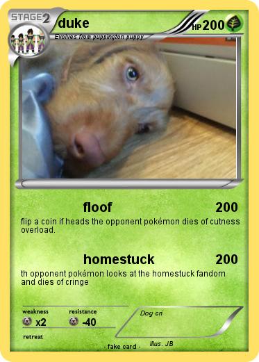 Pokemon duke