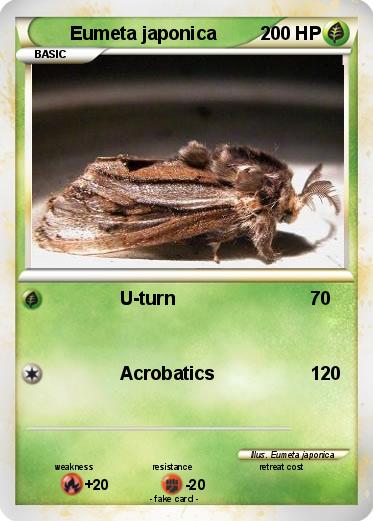 Pokemon Eumeta japonica