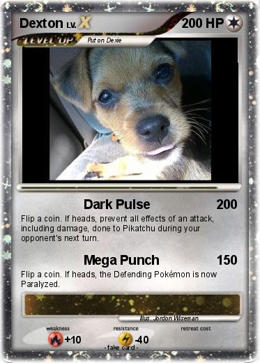 Pokemon Dexton