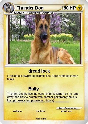 Pokemon Thunder Dog