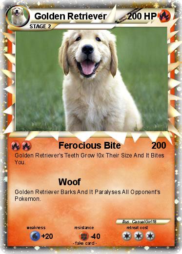 Pokemon Golden Retriever Pokemon Golden Retriever