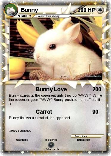 Pokemon Bunny