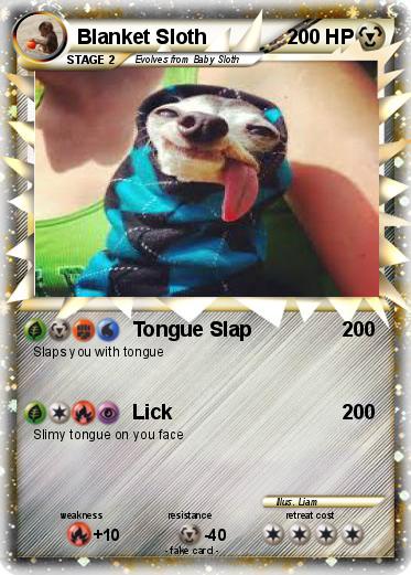 Pokemon Blanket Sloth