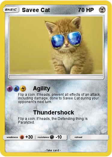 Pokemon Savee Cat