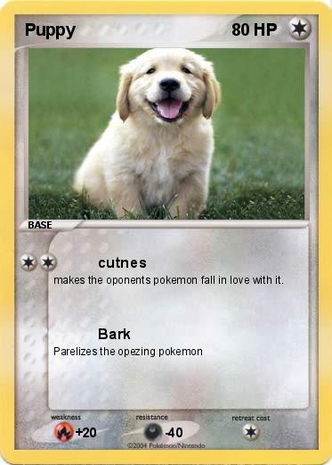 Pokemon Puppy
