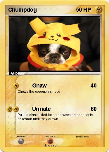 Pokemon Chumpdog