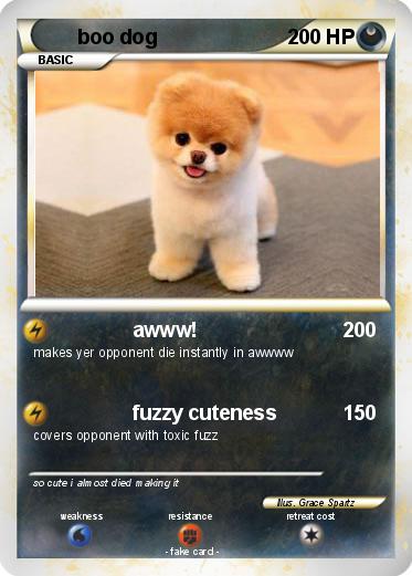 Pokemon boo dog