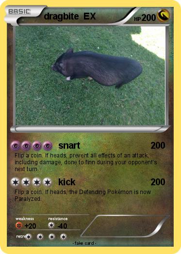 Pokemon dragbite  EX
