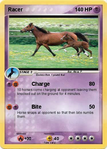 Pokemon Racer Pokemon Racer