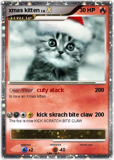 Pokemon xmas kitten