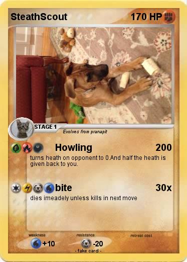 Pokemon SteathScout