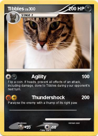 Pokemon Tibbles