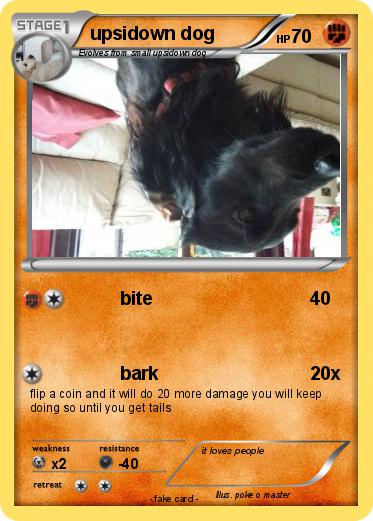 Pokemon upsidown dog