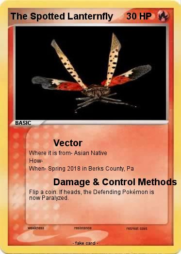 Pokemon The Spotted Lanternfly