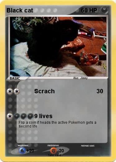 Pokemon Black cat