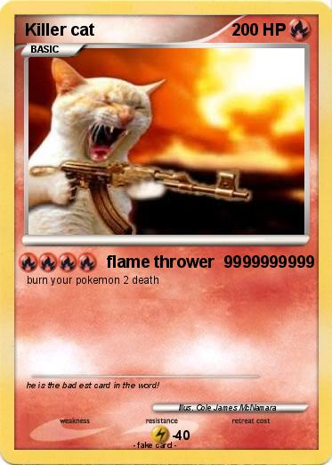 Pokemon Killer cat