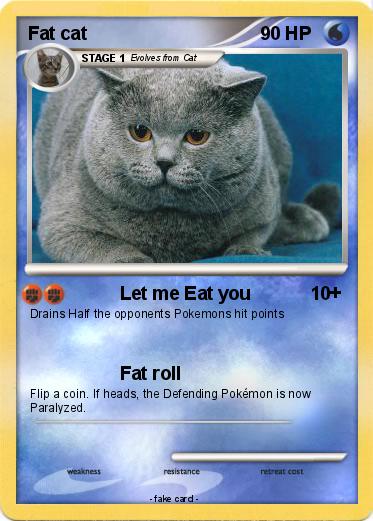 Pokemon Fat cat