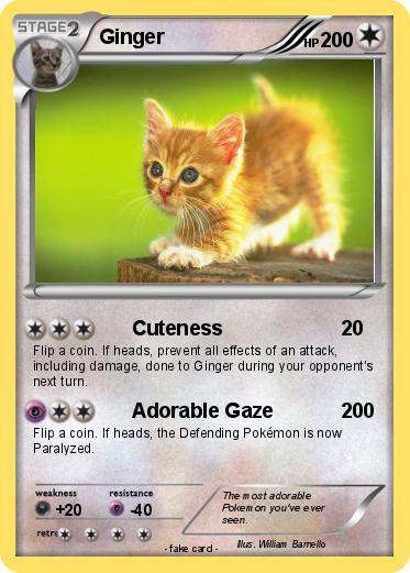 Pokemon Ginger