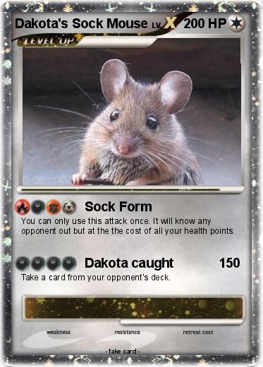 Pokemon Dakota's Sock Mouse