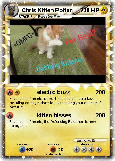 Pokemon Chris Kitten Potter