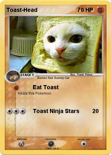Pokemon Toast-Head
