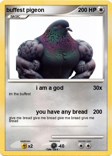 Pokemon buffest pigeon
