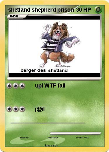 Pokemon shetland shepherd prison