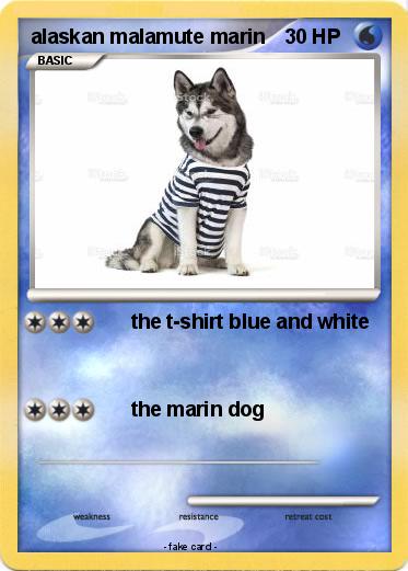 Pokemon alaskan malamute marin