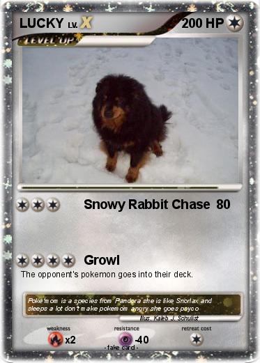 Pokemon LUCKY
