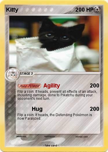 Pokemon Kitty