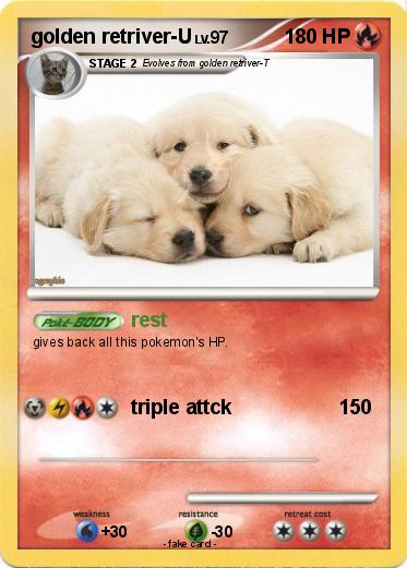 Pokemon golden retriver-U