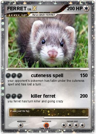 Pokemon FERRET