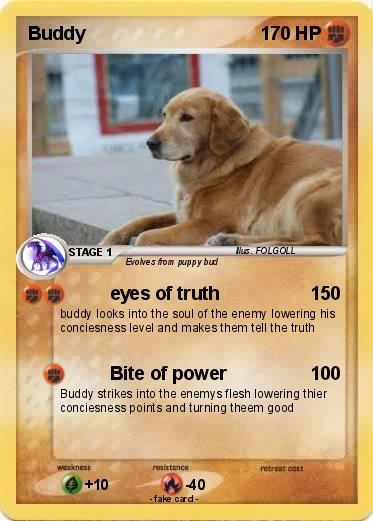 Pokemon Buddy
